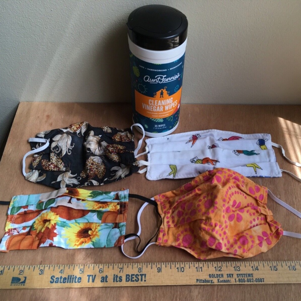Aunt Fannie's Cleaning Vinegar Wipes (35) & Women's Handmade Face Masks (4)